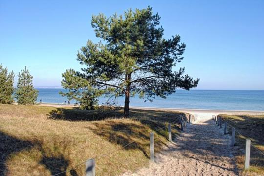 Strandvilla Aegir Mit Ostseeblick Binz Exteriör bild